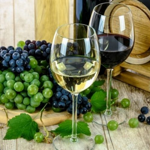 vinos-ecologicos-800x533-750x450